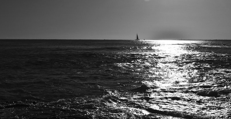 DSC_3111_BW.jpg