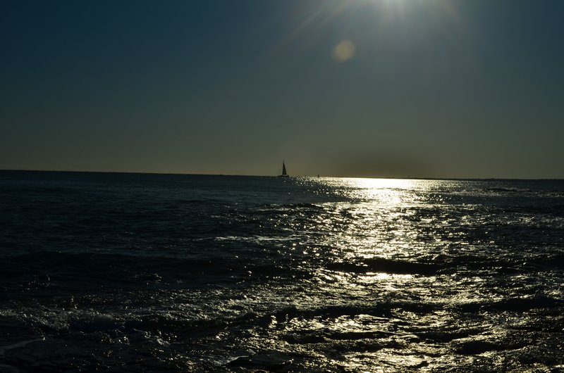 DSC_3113.jpg