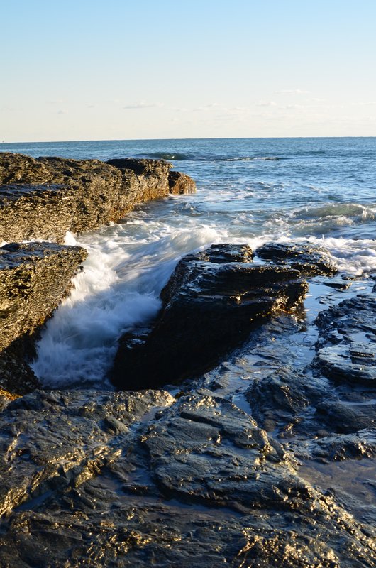 DSC_3116.jpg