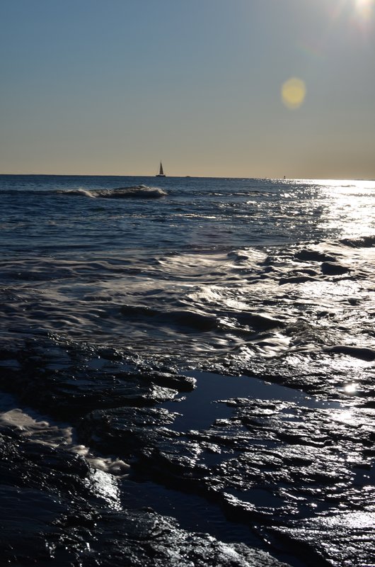 DSC_3120.jpg