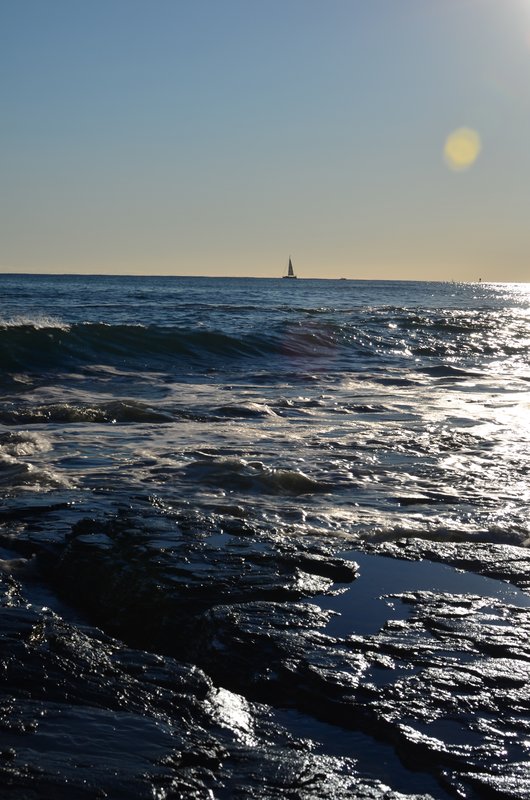 DSC_3121.jpg