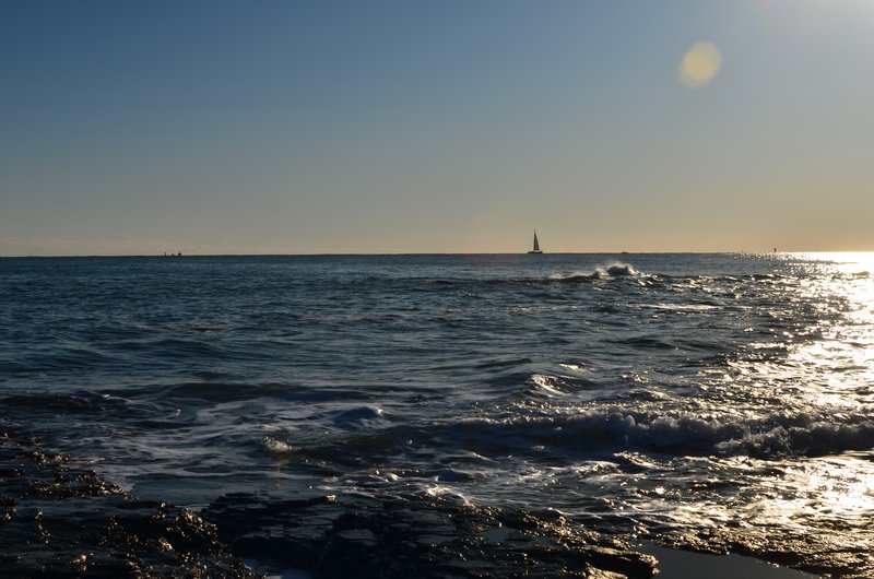 DSC_3122.jpg