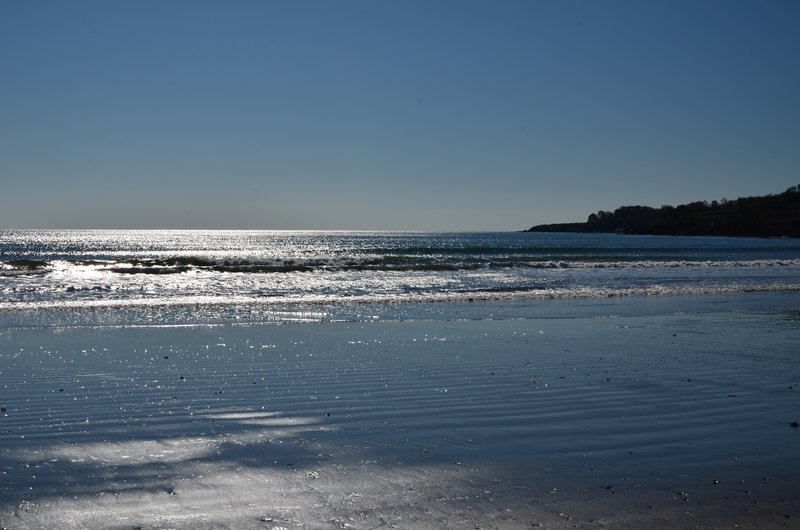 DSC_3171.jpg