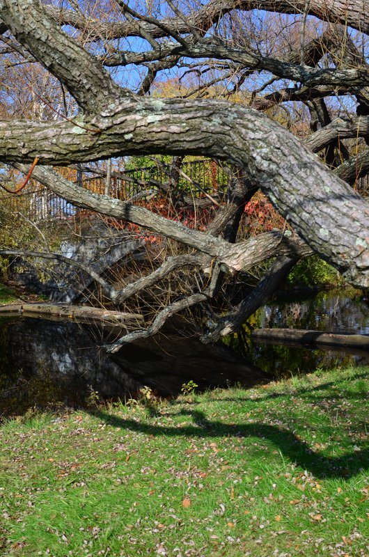 DSC_3238.jpg