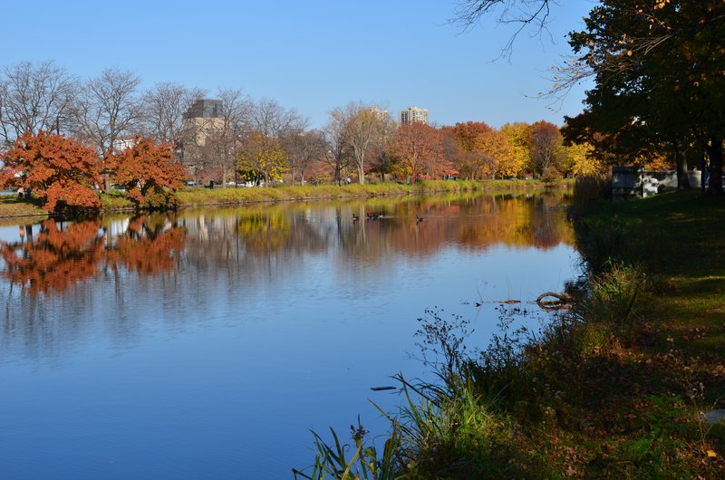 DSC_3242.jpg