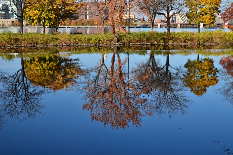 DSC_3247.jpg