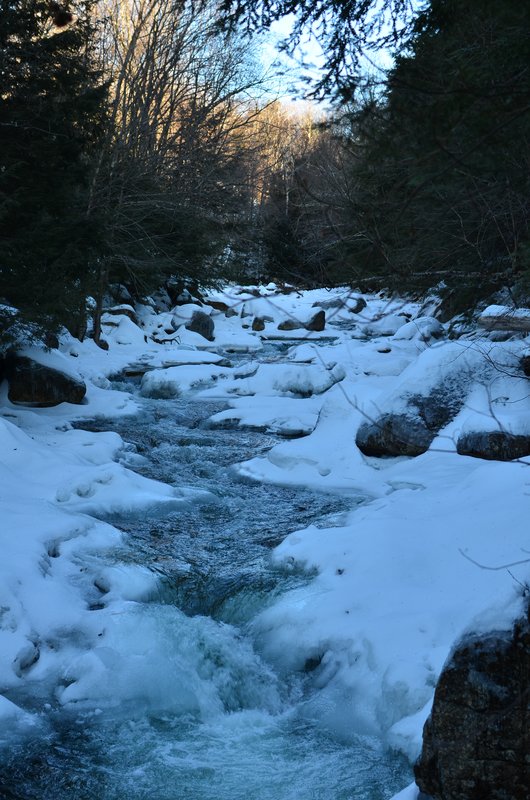 DSC_4084.jpg