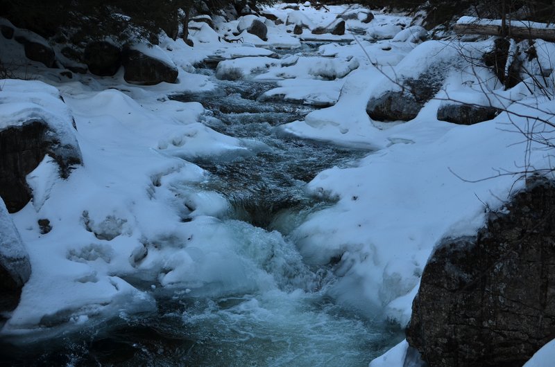DSC_4087.jpg