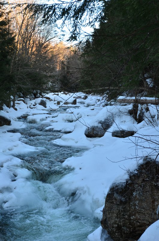 DSC_4092.jpg