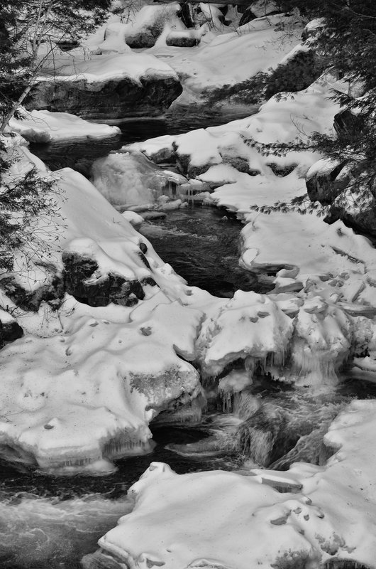 DSC_4102-Edit.jpg