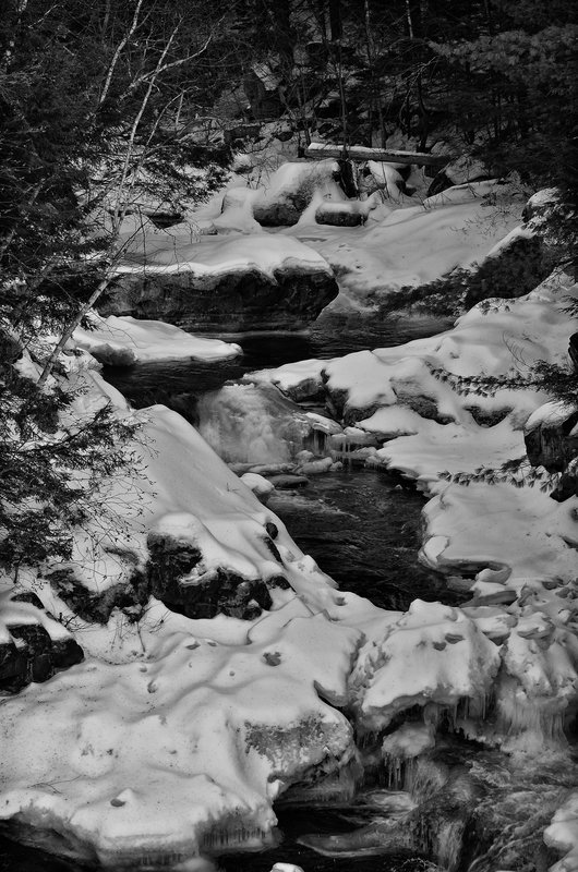 DSC_4104-Edit.jpg