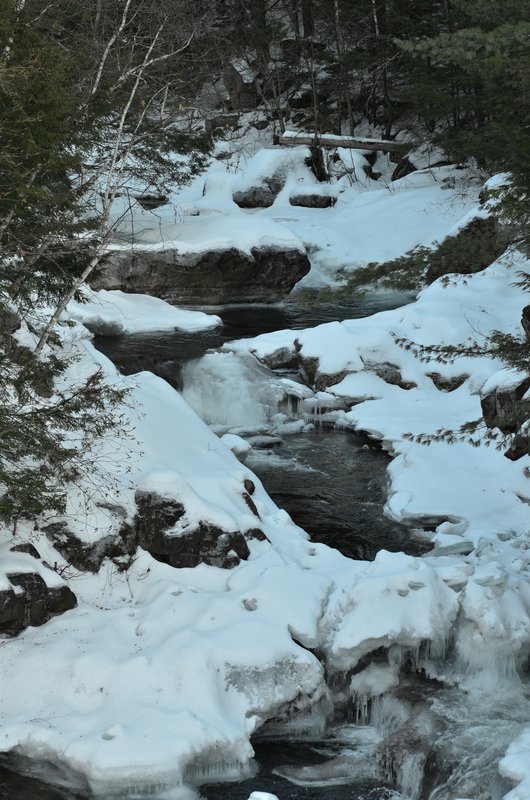 DSC_4104.jpg