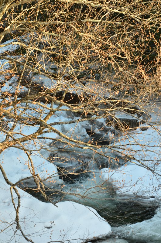 DSC_4106.jpg