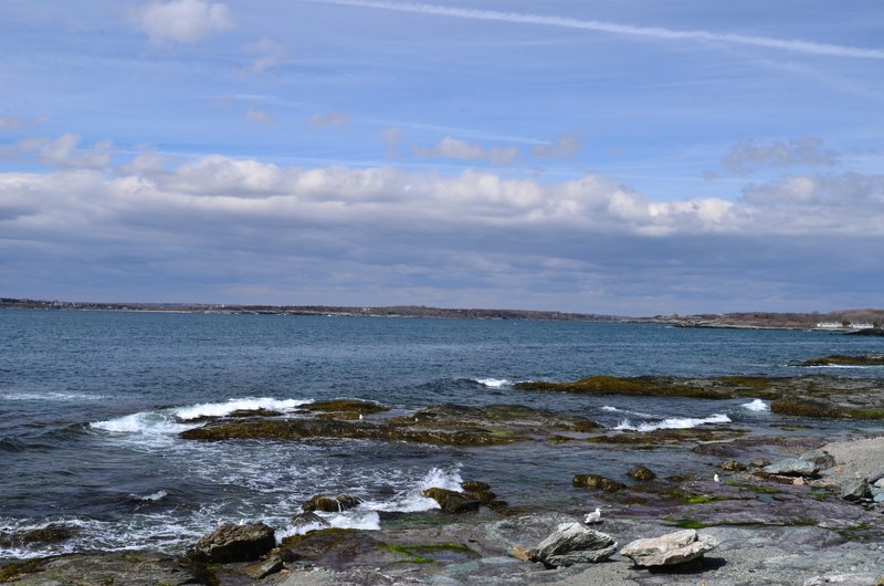 DSC_4287.jpg