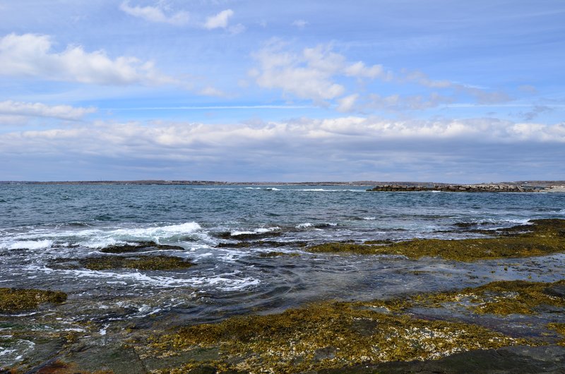 DSC_4311.jpg