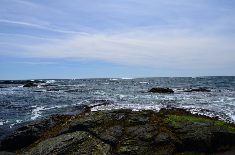 DSC_4313.jpg