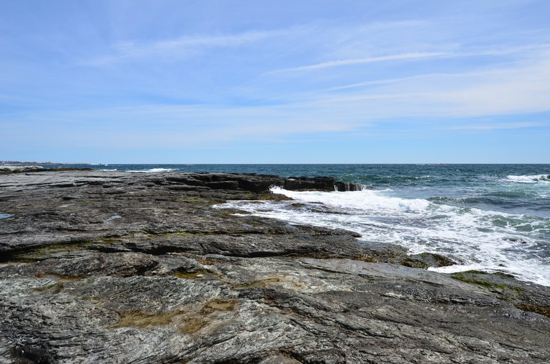 DSC_4324.jpg