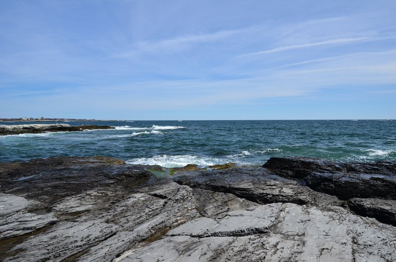 DSC_4331.jpg