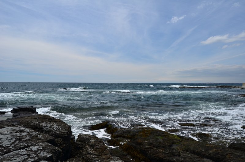 DSC_4333.jpg
