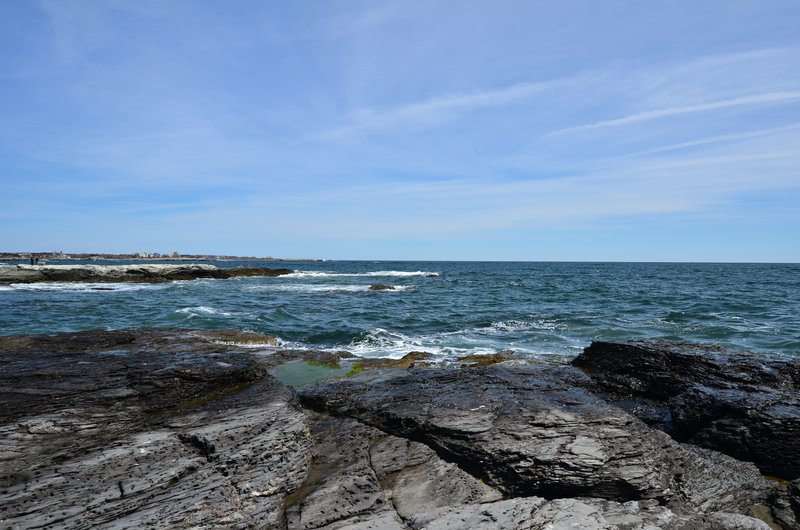 DSC_4336.jpg