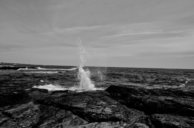 DSC_4339_BW.jpg