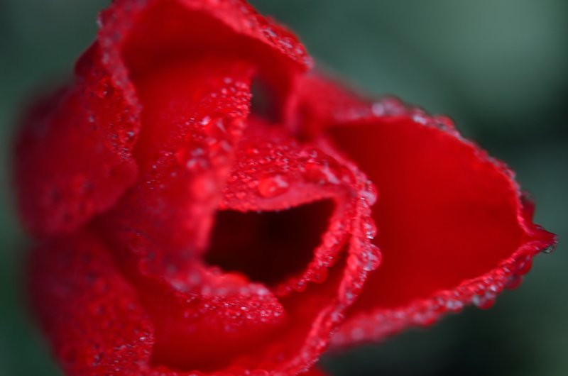 DSC_4407.jpg