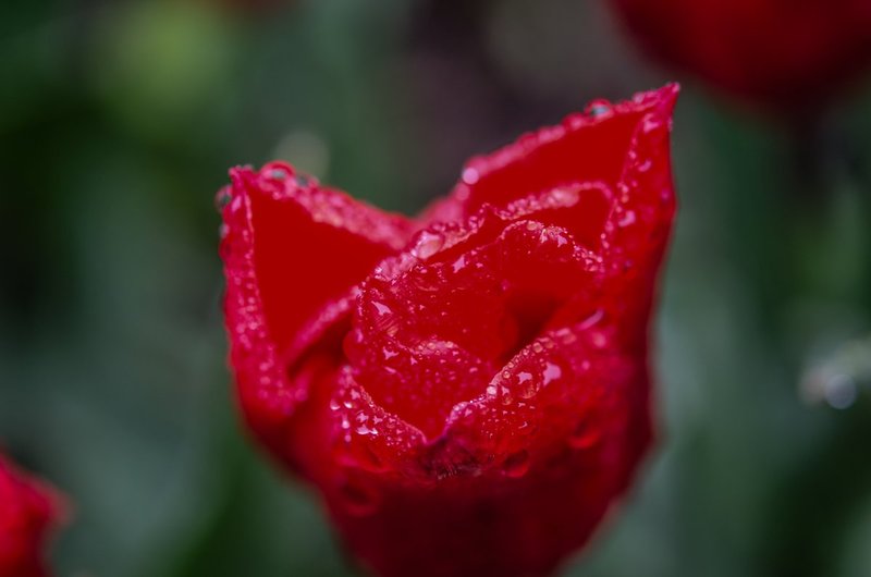 DSC_4410.jpg