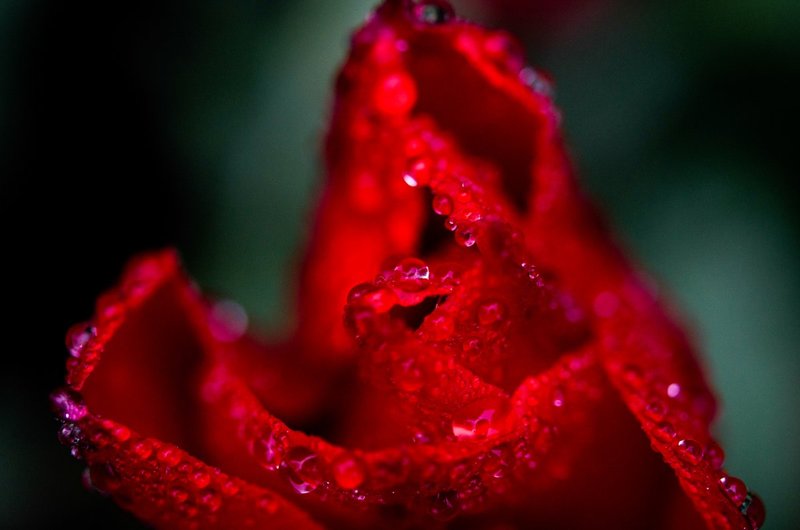 DSC_44131.jpg