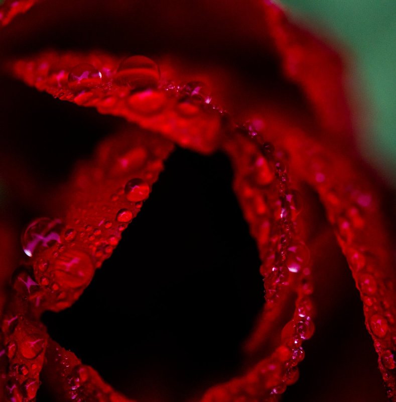 DSC_4418.jpg