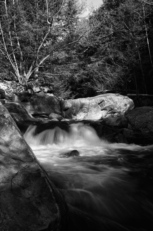 DSC_4508-Edit.jpg