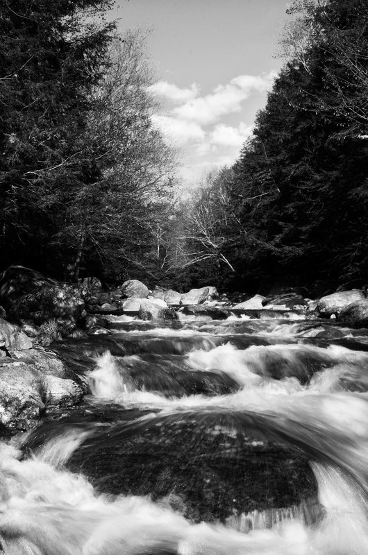DSC_4520-Edit.jpg