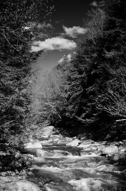 DSC_4529-Edit.jpg