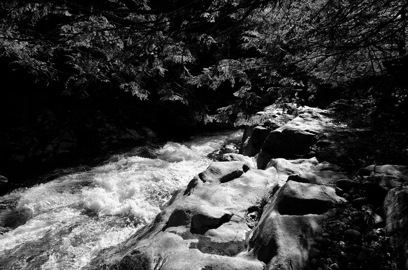 DSC_4538-Edit.jpg