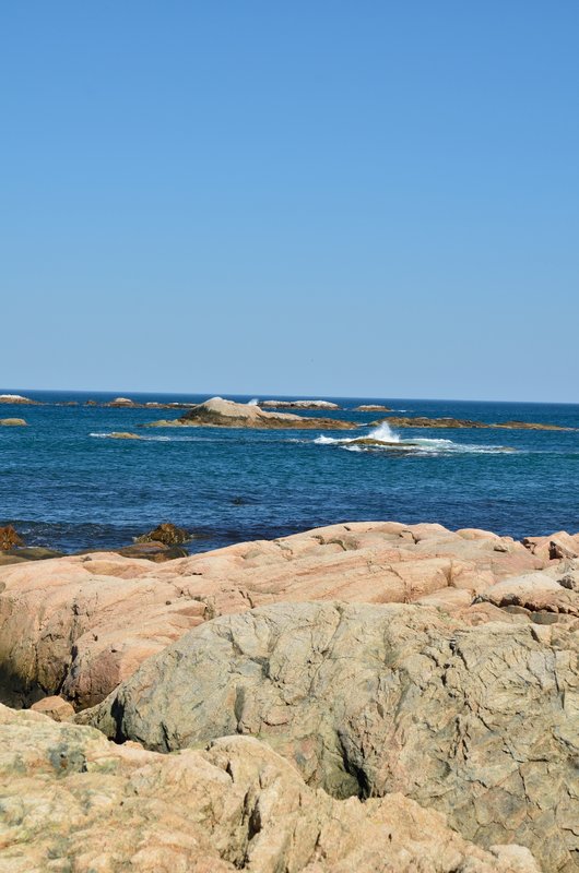 DSC_4720.jpg