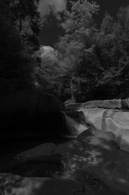 DSC_5125-Edit.jpg