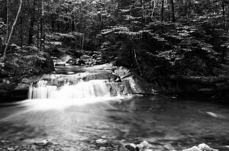 DSC_5150-Edit.jpg