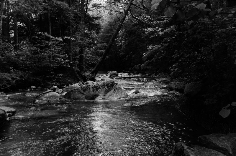 DSC_5178-Edit.jpg