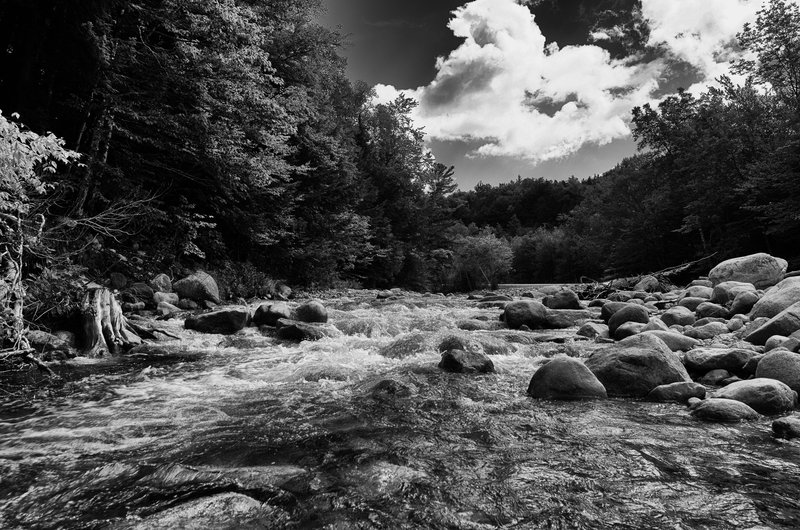DSC_5213-Edit.jpg