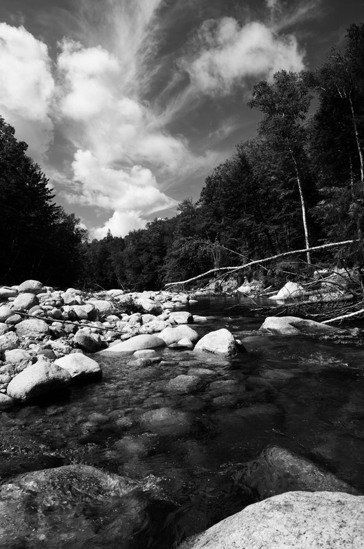 DSC_5222-Edit.jpg