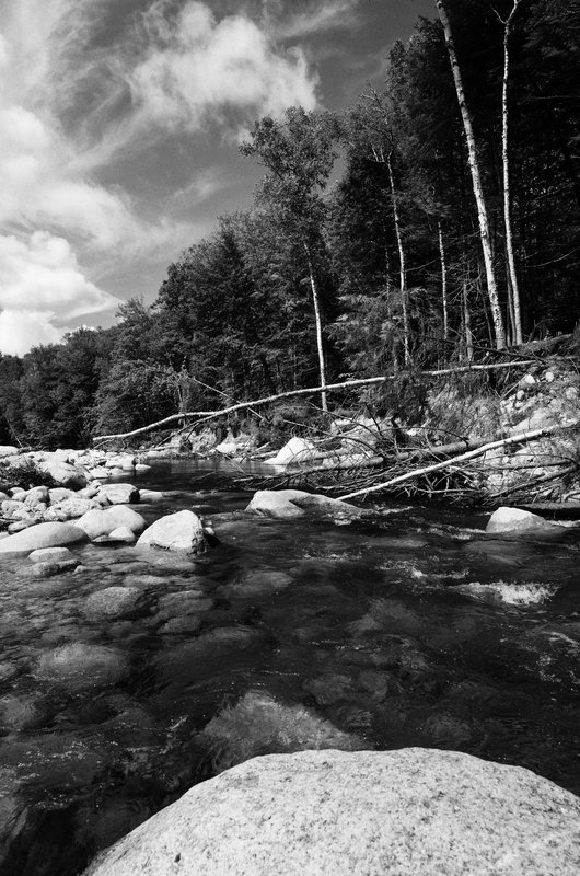 DSC_5225-Edit.jpg