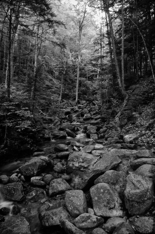 DSC_5305-Edit.jpg