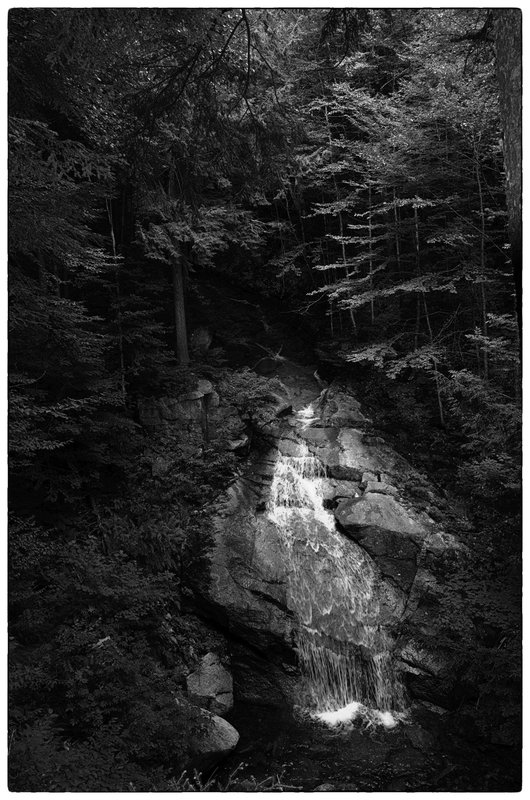 DSC_5309-Edit.jpg