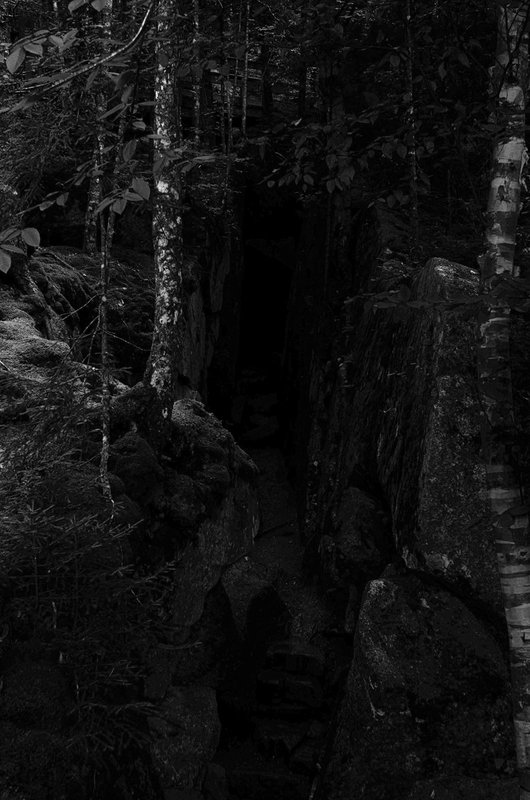 DSC_5317-Edit.jpg
