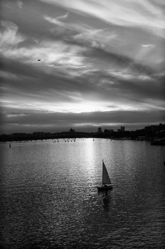DSC_6456-Edit.jpg