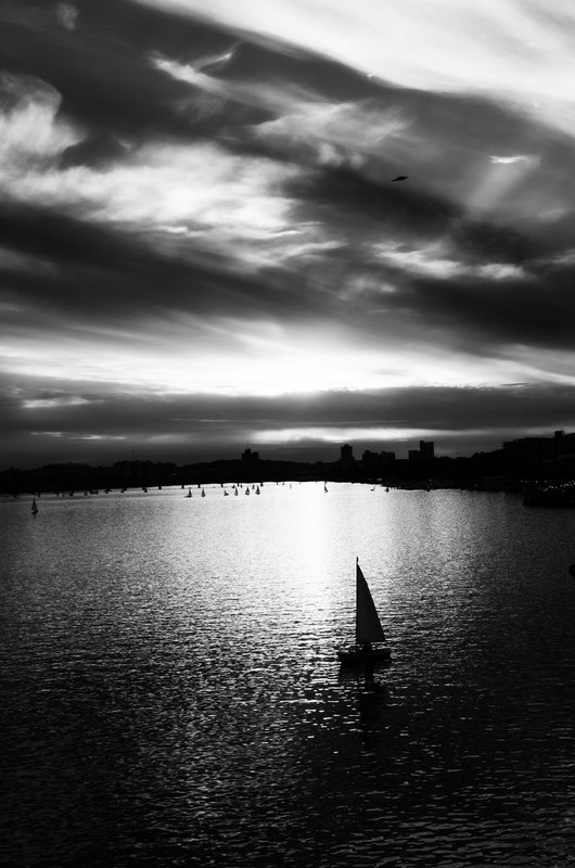 DSC_6458-Edit.jpg