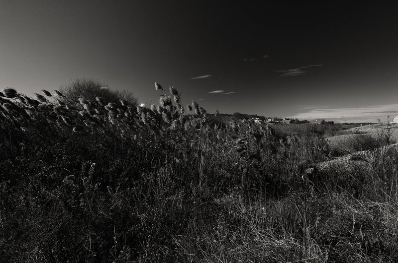 DSC_6553-Edit-21.jpg