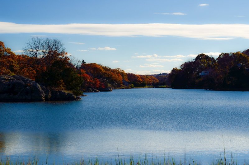 DSC_6578.jpg