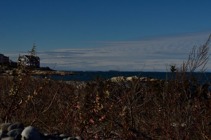 DSC_6587.jpg