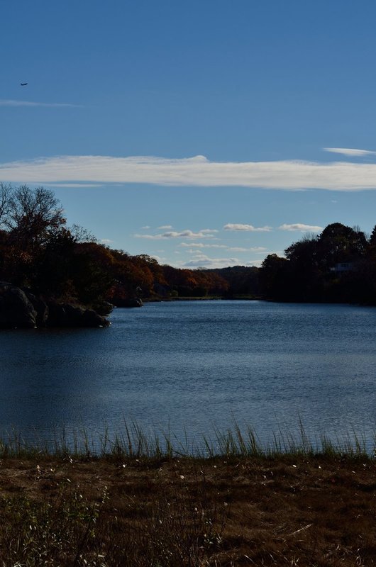 DSC_6590.jpg