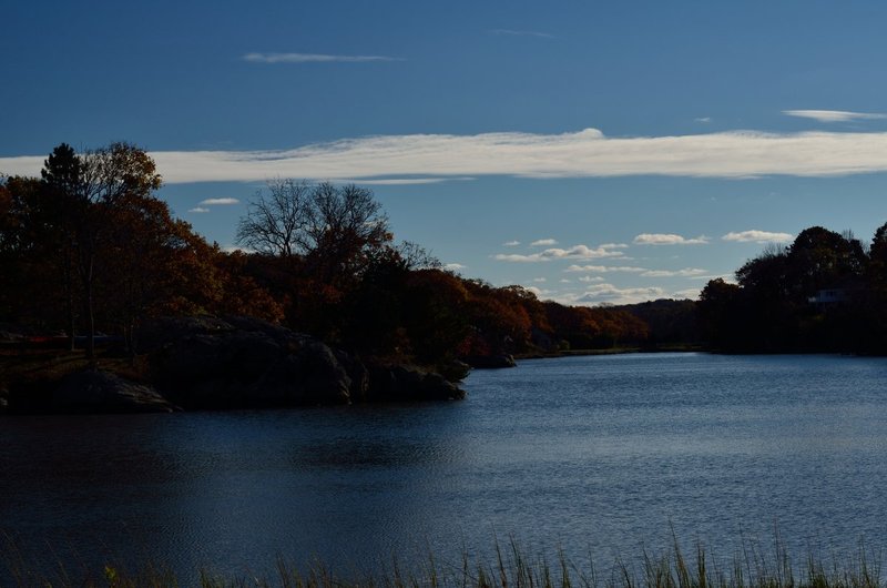DSC_6592.jpg